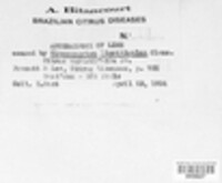 Image Associated With the Occurence